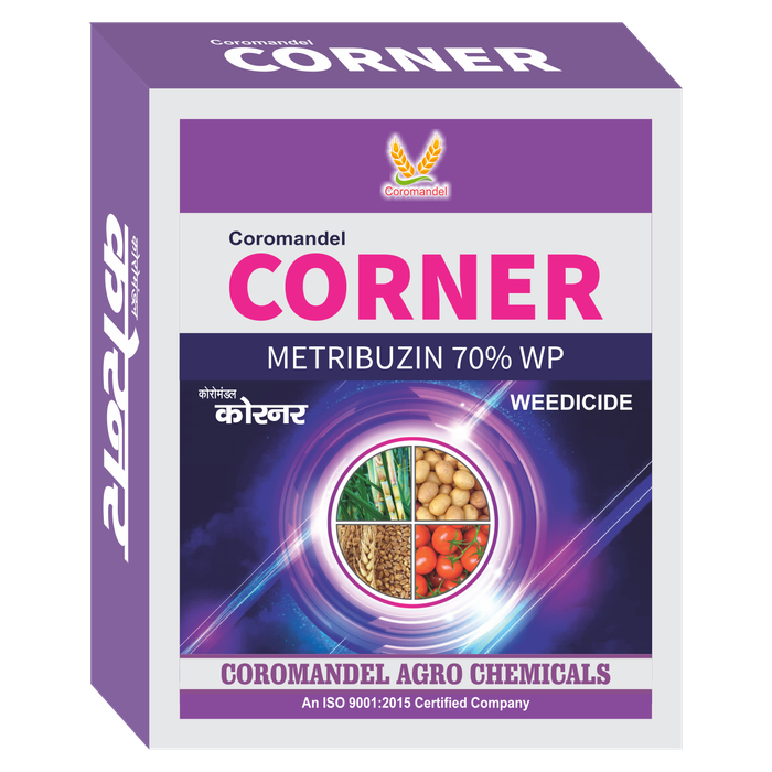CORNER