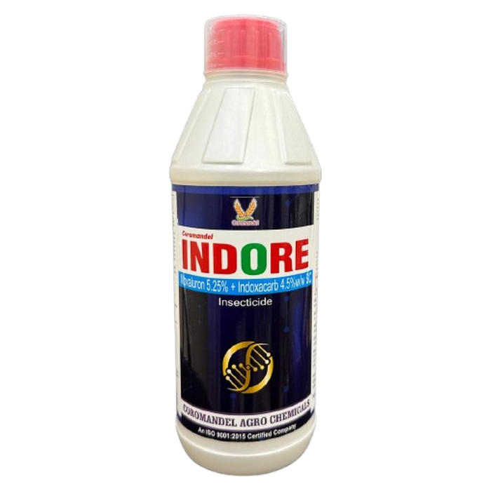 INDORE