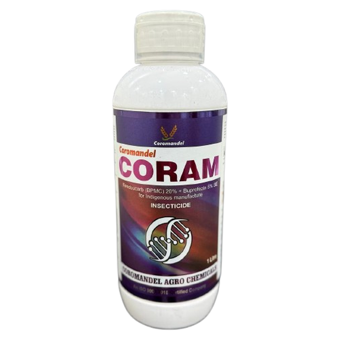 CORAM