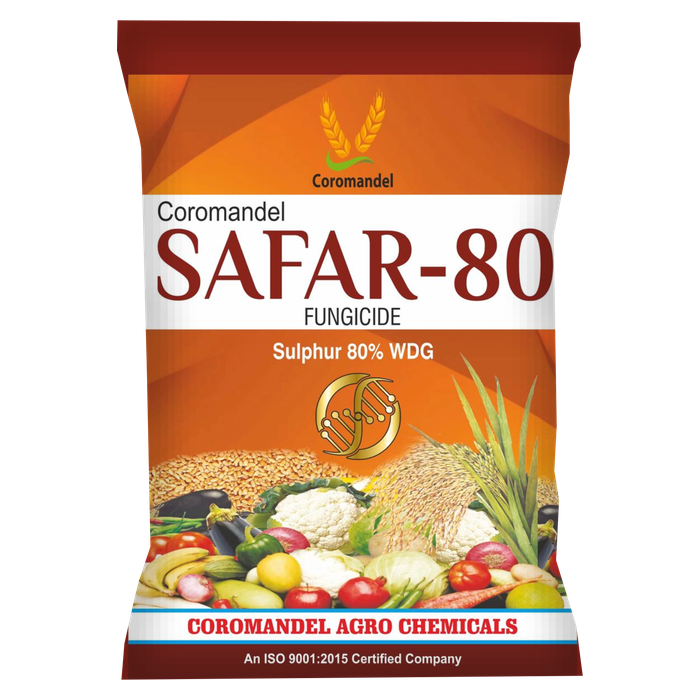 SAFAR-80